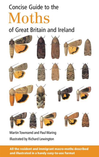 Concise Guide to the Moths of Great Britain and Ireland The Birders Store
