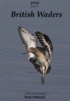 DVD Guide to British Waders