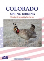 Colorado Spring Birding DVD