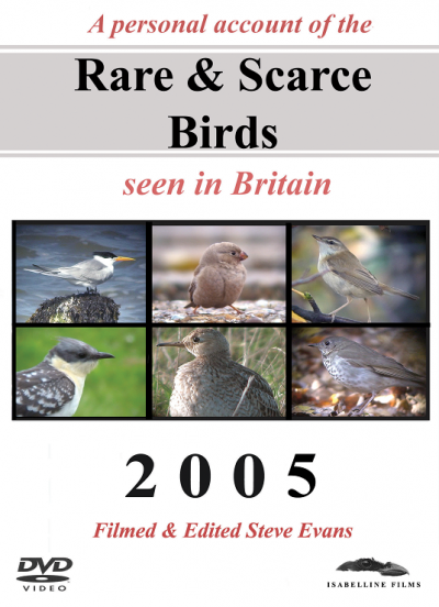 Rare and Scarce Birds DVD: 2005