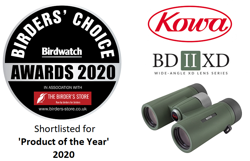 Kowa Ii Xd 8x32 Binoculars The Birders Store Kowa Ii Xd 8x32 Binoculars The Birders Store