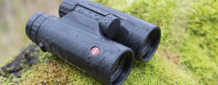 Leica Trinovid Hd 8x42 Binoculars The Birders Store