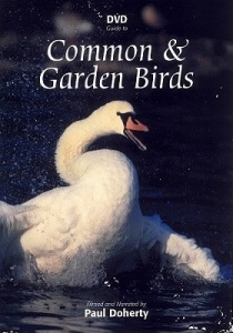 DVD Guide to Common and Garden Birds