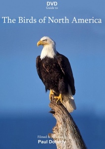 DVD Guide to the Birds of North America
