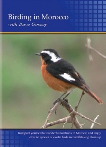 Birding in Morocco DVD