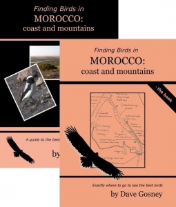 Finding Birds in Morocco: coasts & mountains DVD/Book Pack