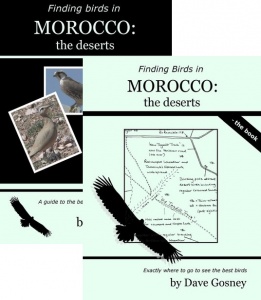Finding Birds in Morocco: the deserts DVD/Book Pack