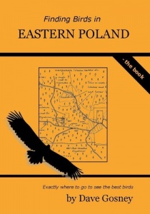 Finding Birds in Eastern Poland