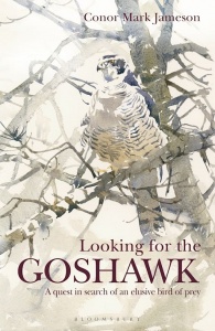 Looking for the Goshawk