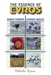 DVD The Essence of Evros