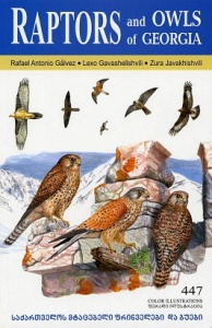 Raptors and Owls of Georgia