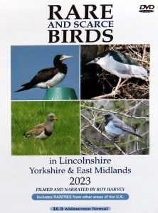Rare and Scarce Birds in Lincolnshire, Yorkshire & East Midlands 2023 DVD