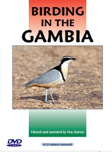 Birding in The Gambia DVD