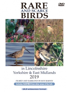 Rare and Scarce Birds in Lincolnshire, Yorkshire & East Midlands 2019 DVD
