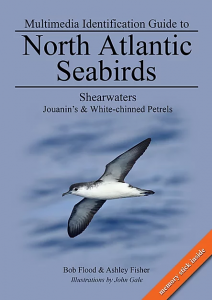 Multimedia Identification Guide to North Atlantic Seabirds: Shearwaters, Jouanin's & White-chinned Petrels