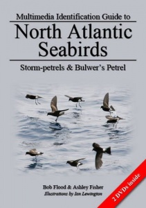 Multimedia Identification Guide to North Atlantic Seabirds: Storm-petrels & Bulwer's Petrel