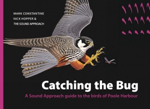 The Sound Approach: Catching the Bug