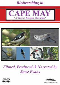 Birdwatching in Cape May: Autumn Migration DVD