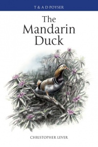 The Mandarin Duck