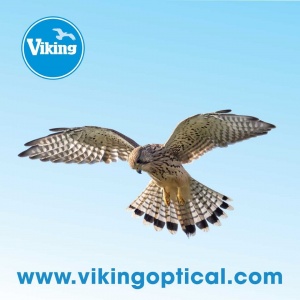 Viking Kestrel Optical Cleaning Cloth