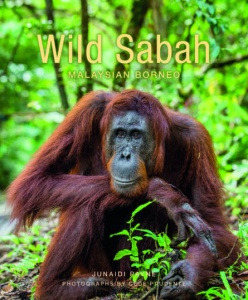 Wild Sabah