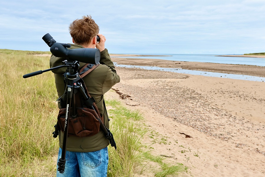 Tripac Rope Opticron Tripac - Tripod Harness & Accessory Pack: Brown The Birders Store