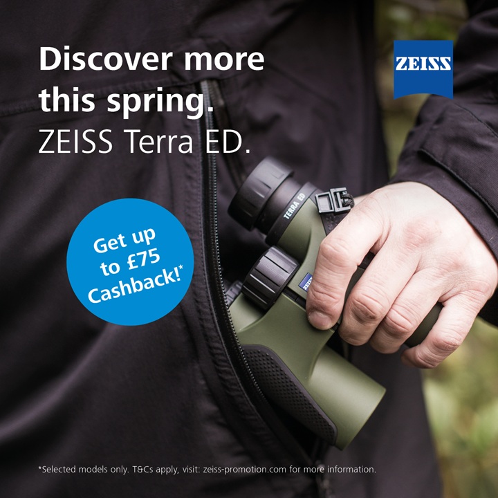 Zeiss Terra ED Pocket 8x25 Binoculars The Birders Store