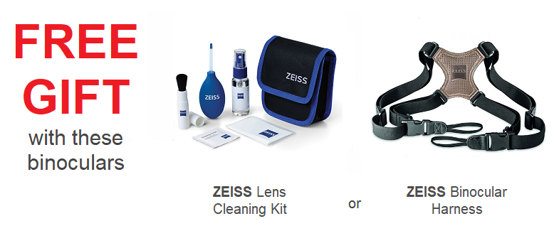 Zeiss Victory SF 8x32 Binoculars The Birders Store