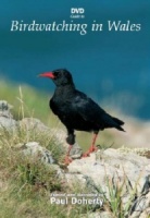 DVD Guide to Birdwatching in Wales