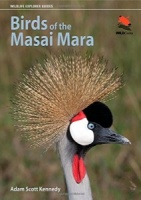 Birds of the Masai Mara