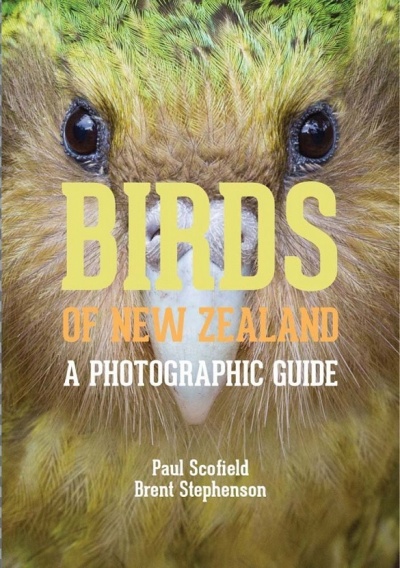 Birds of New Zealand: A Photographic Guide