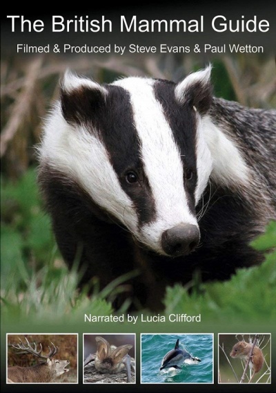 The British Mammal Guide DVD
