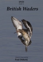 DVD Guide to British Waders