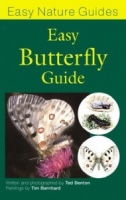 Easy Butterfly Guide