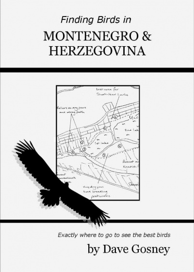 Finding Birds in Montenegro  and Herzegovina