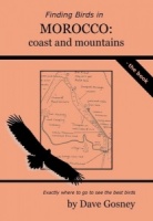 Finding Birds in Morocco: coasts & mountains Book