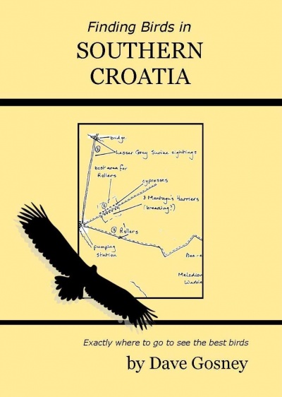 Finding Birds in Southern Croatia
