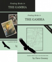 Finding Birds in The Gambia DVD/Book Pack