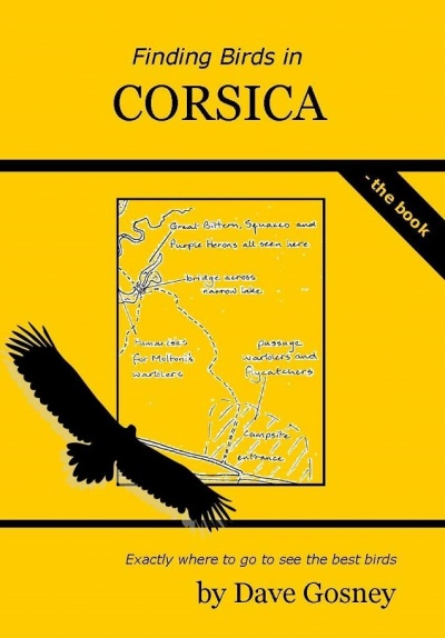 Finding Birds in Corsica