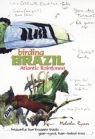 DVD Birding Brazil: Atlantic Forest