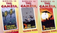 DVD Birding in The Gambia: Parts 1, 2 & 3