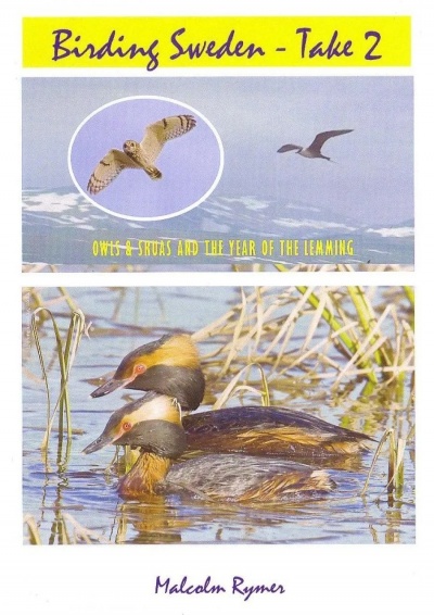 Birding Sweden: Take 2 - Summer and Autumn