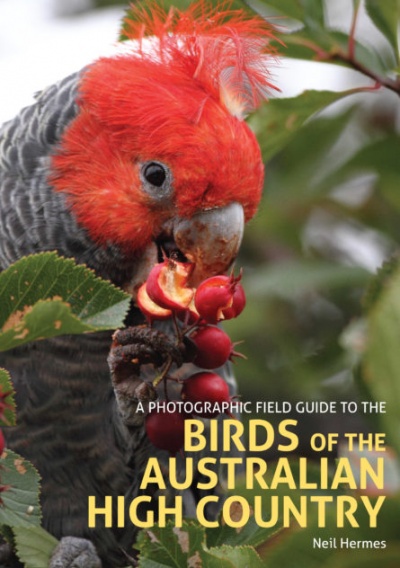 A Photographic Field Guide to the Birds of the Australian High Country