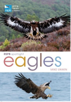 RSPB spotlight: eagles