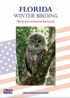 Florida Winter Birding DVD