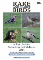 Rare and Scarce Birds in Lincolnshire, Yorkshire & East Midlands 2014 DVD