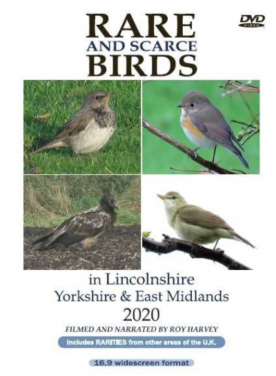 Rare and Scarce Birds in Lincolnshire, Yorkshire & East Midlands 2020 DVD