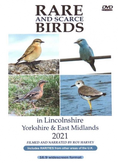 Rare and Scarce Birds in Lincolnshire, Yorkshire & East Midlands 2021 DVD
