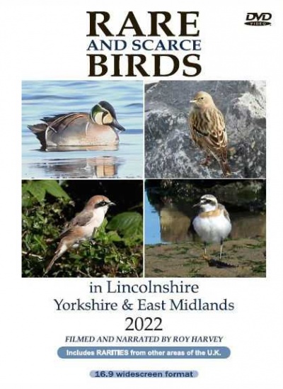 Rare and Scarce Birds in Lincolnshire, Yorkshire & East Midlands 2022 DVD