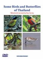 Some Birds and Butterflies of Thailand DVD
